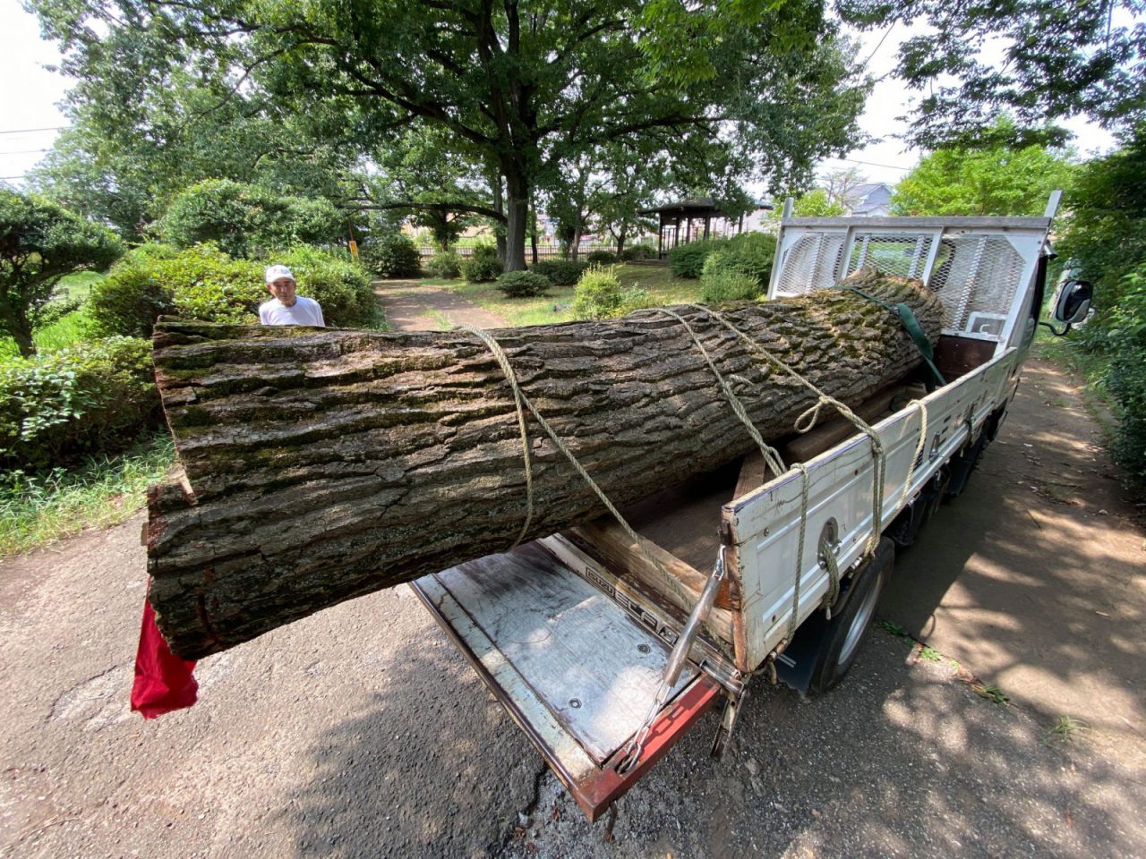 公園の伐採樹木利活用にわくわく 100 Taiken Aiba 100 Story