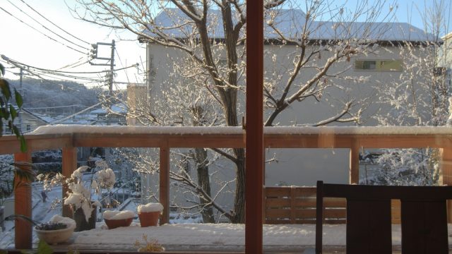 雪景色をリビングの窓から。