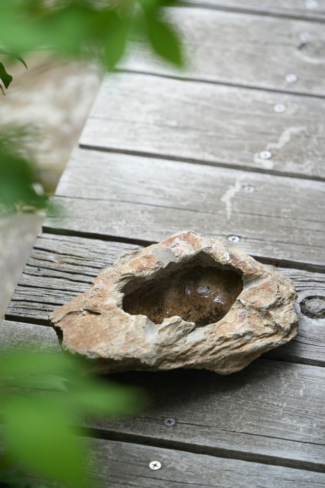 水鉢のような面白い石も。