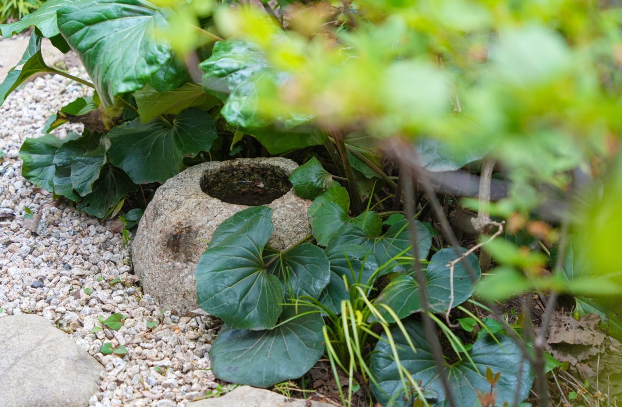 小林賢二さんのお庭らしい水鉢がある風景