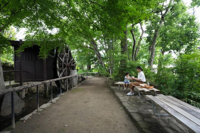 水車の前や公園内に公園の伐採樹木を活用したベンチを設置