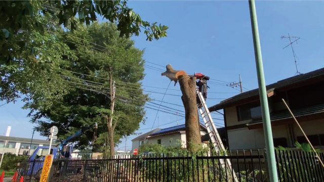 市内の公園の伐採樹木を活用した公園ベンチ