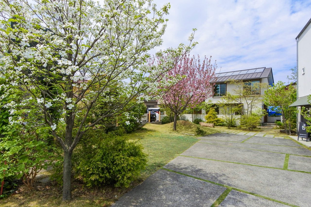 2022年4月。春のつむじは新緑の黄緑、サトザクラの桃色、ハナミズキの白色が女性的で優しいイメージです