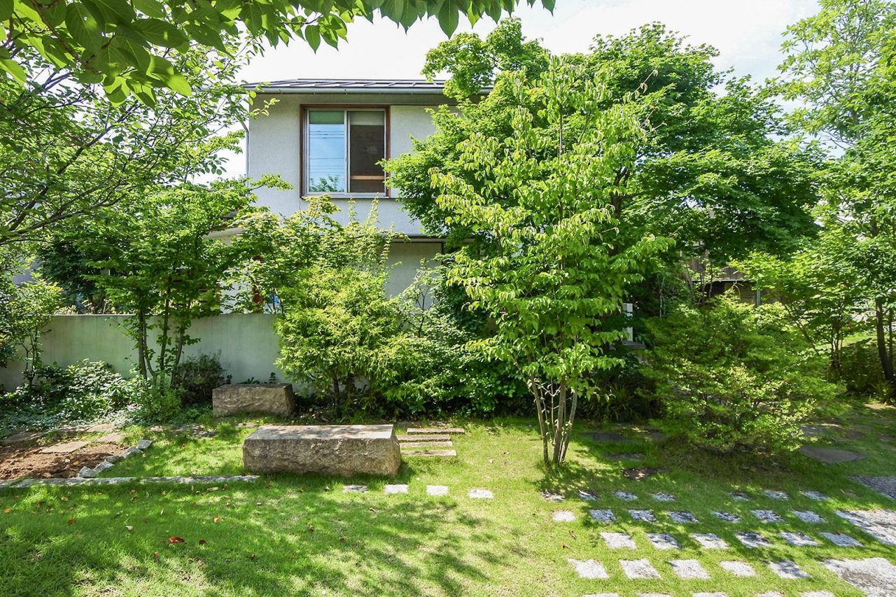 2023年7月。緑一色に染まる夏のつむじ。瑞々しくエネルギッシュ、植物の生命力を感じます。