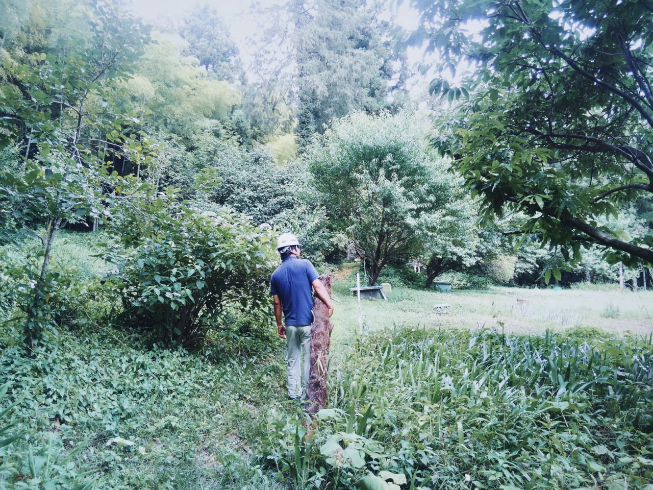 シュロの木の採集に日の出町の山と森を訪ねた渡邉監督。「ホウキづくり」ワークショップのリーダーを務めます。