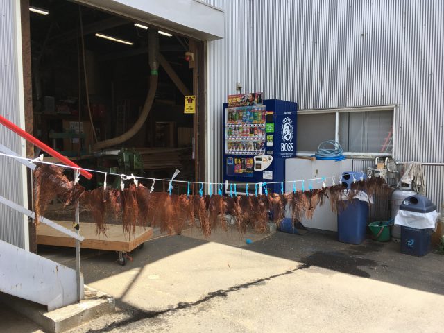 研いだ後、乾燥しているところ