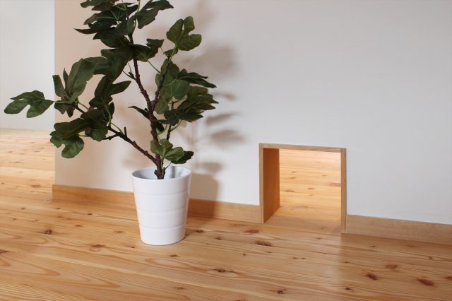 猫用の小さな通り道。