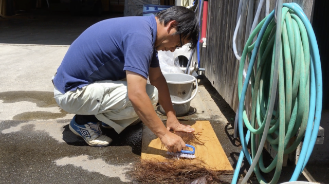 樹皮を水でほぐして研いでいる様子。この段階で繊維がいくつかは取れていくため、採集した全ての繊維が使える訳ではありません