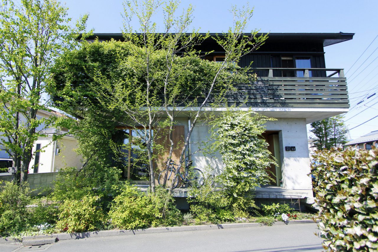 カヅノキハウス