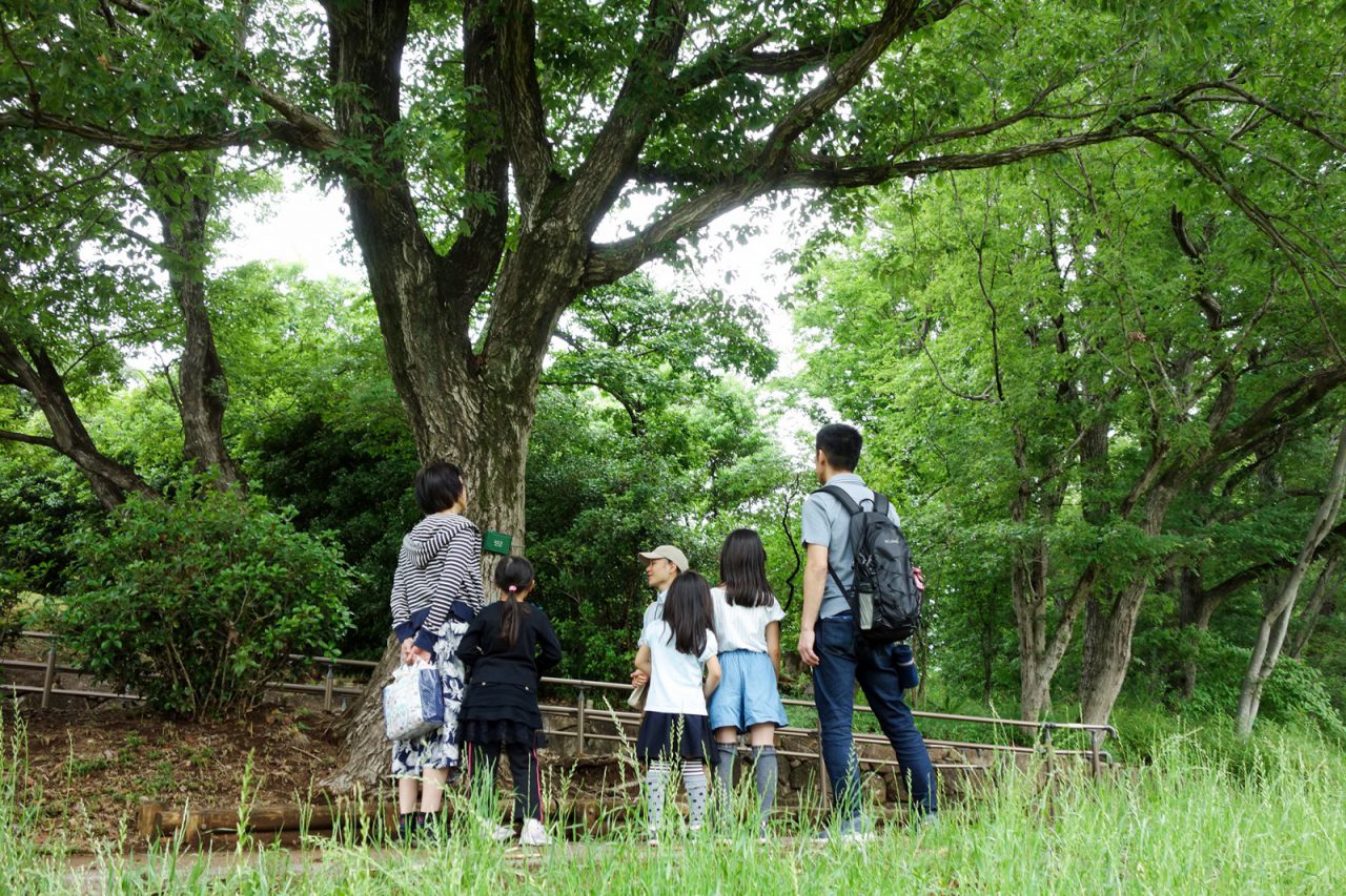 八国山緑地のコロコロ広場で、西武・狭山パートナーさんと相羽建設での共催イベントでの様子。