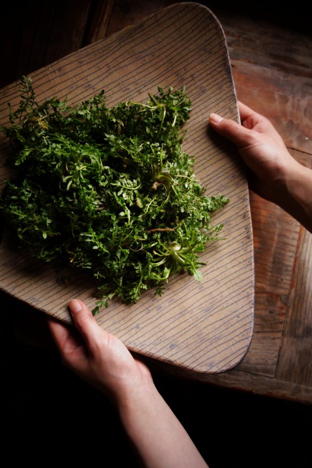 父のつくるうつわと家の近くで取れた野草