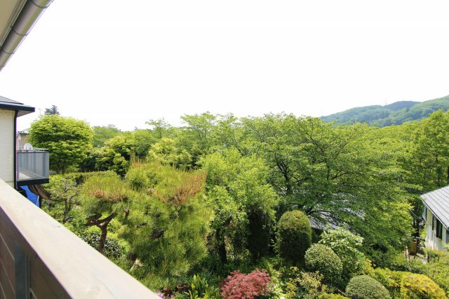 家の前に広がる山と緑と川のある景色。そこにいるだけで癒されます。