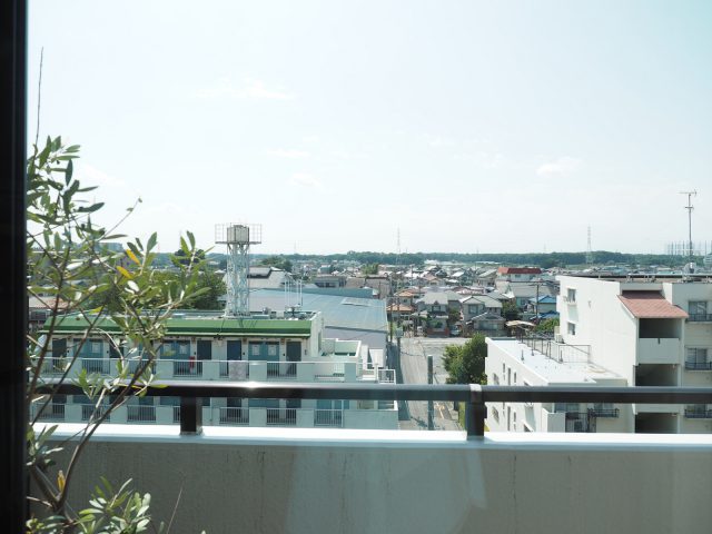 見晴らしの良い景色