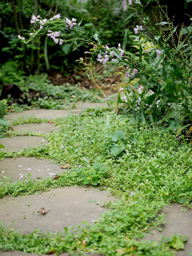 基本設計はアルテ造園に依頼。