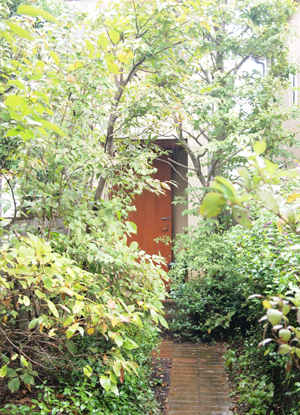 アプローチはまるで緑のトンネル