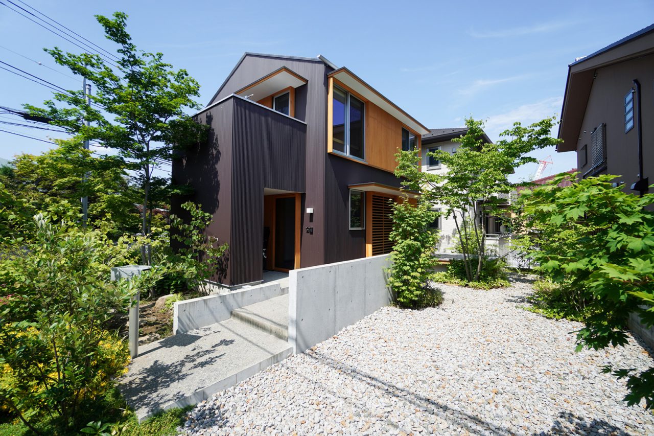 木々の折り重なりが美しい風景をつくりだす