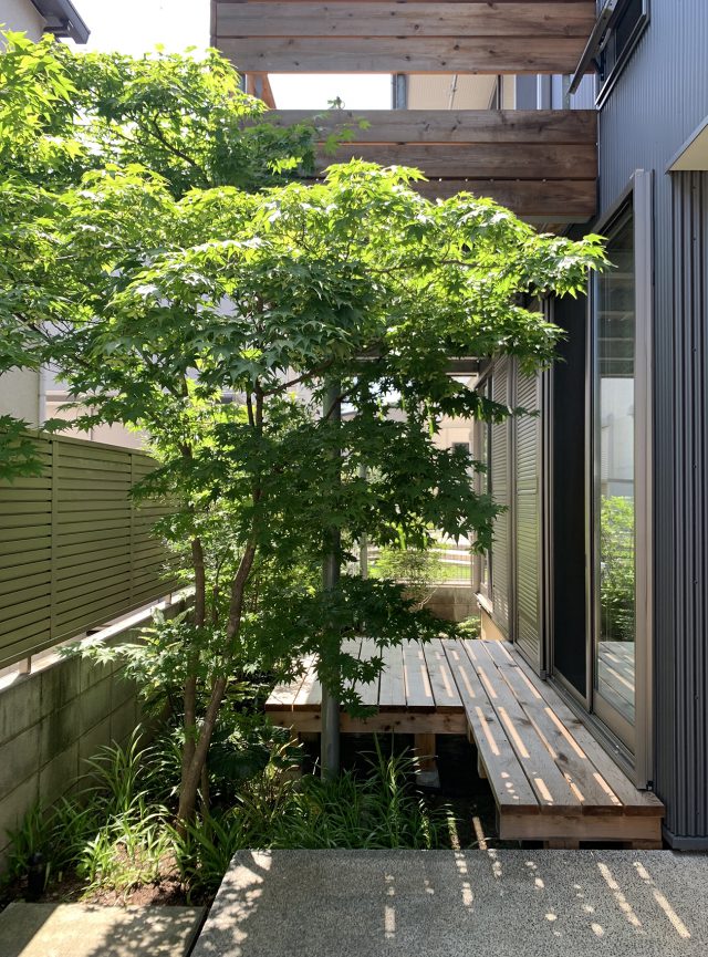 ヤマモミジの向こうに、居心地のいい場所が