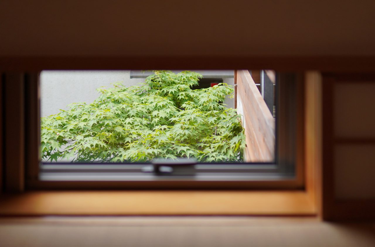 小上がりの小窓からのぞくヤマモミジ