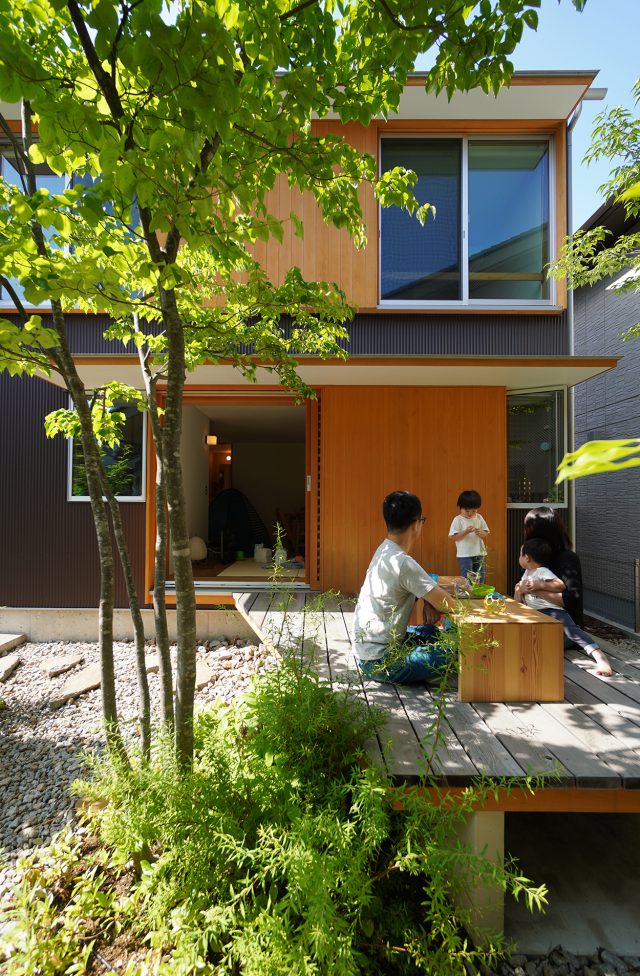 ヤマボウシが成長し気持ちのいい木陰をつくる