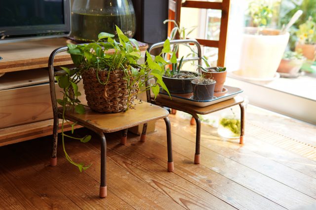 奥様が集めた雑貨や緑