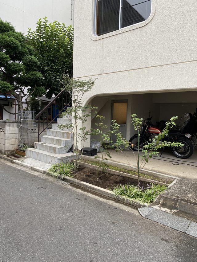 After（玄関アプローチ）