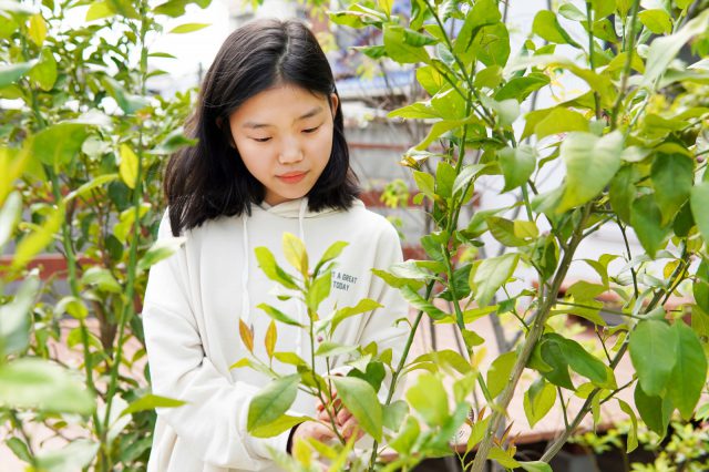 木々の変化が毎日の楽しみに。