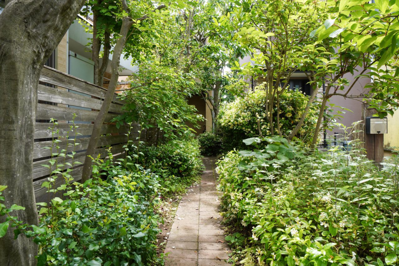 アプローチは緑のトンネルのよう。