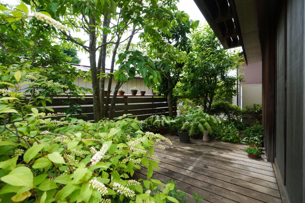 植栽をデッキと同じ高さに持ち上げることで、室内との一体感を増しています。