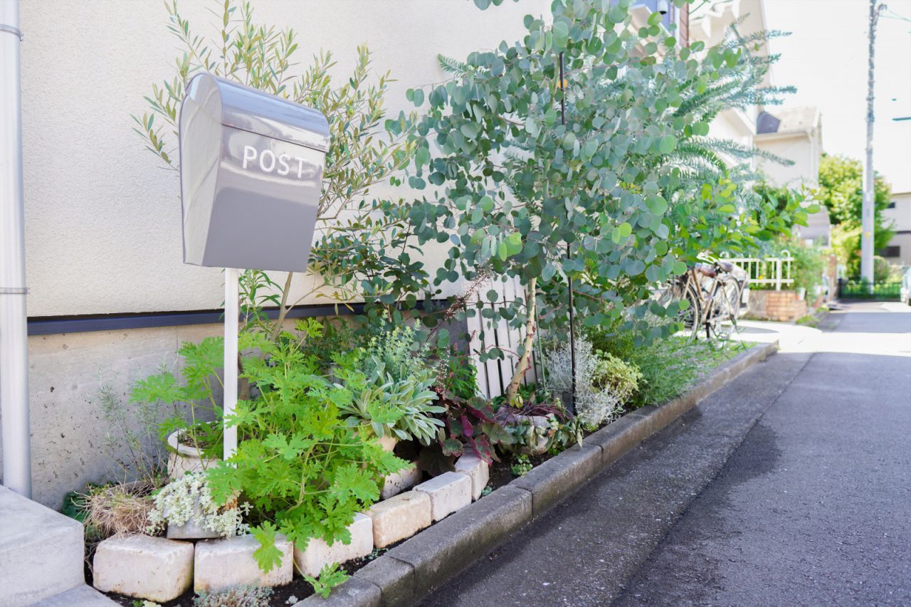 DIYした外構。ミモザやユーカリなどを植えました。