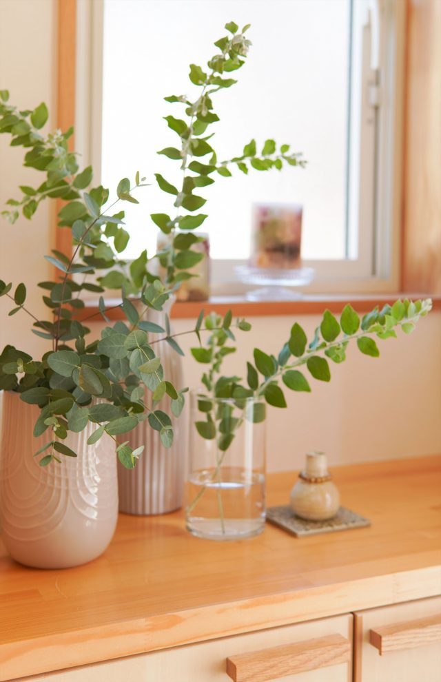 玄関先のユーカリを室内に生けて。