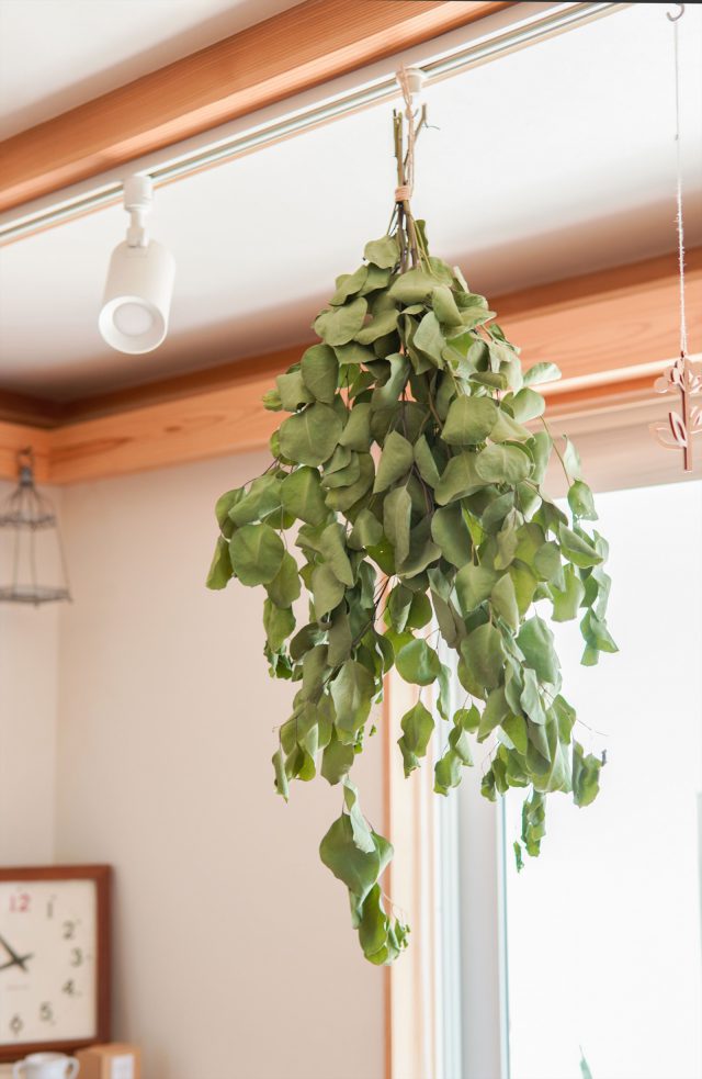 吊るしてドライフラワーに。