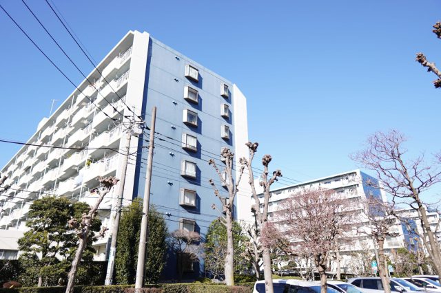 何棟も連なる団地は管理が行き届いています