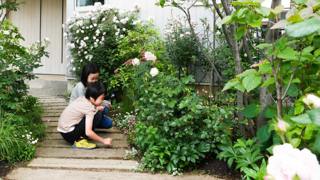 植物や生き物に興味を持つ場にも