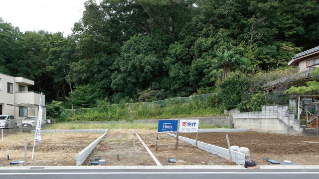 目の前に広がる森にわくわく!「これは理想通りかも」と思わず興奮(!)