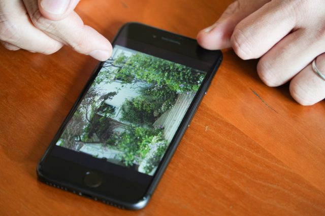 インスタ（@milkolive）にはお庭写真がたくさん。「”庭友”が欲しいです（笑）」とご主人。