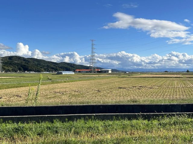 遠くに見える通っていた小学校は何年後かに廃校になるそう