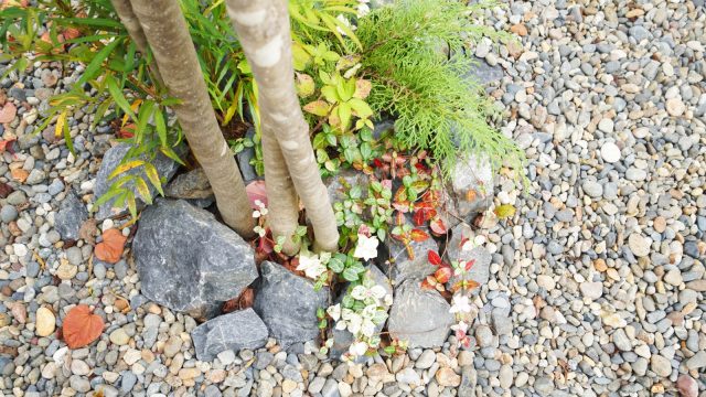 それぞれの木の下に石を置いたり草を植えたり。このこだわりが庭の雰囲気づくりに一役買っています。