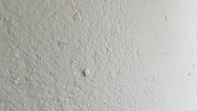 漆喰表面の質感。