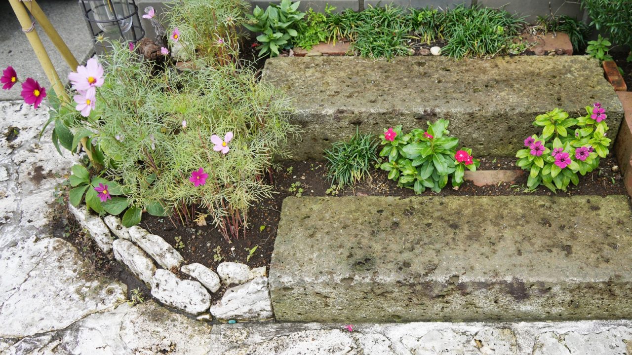 外構には沖縄の珊瑚（石灰岩）を使用。植物と美しく調和しています。お庭のハーブはさっと摘んで食卓に。私たちもお土産にローズマリーとオリーブオイルをいただき、A様の素敵な暮らしを持ち帰りました。