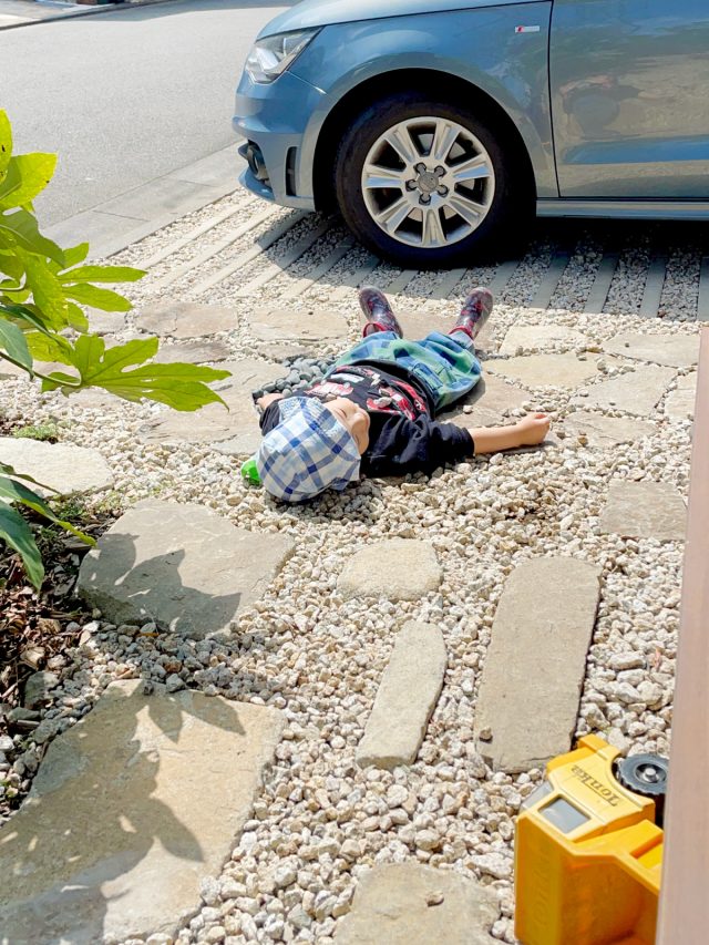 アプローチの砂利の上が気持ち良いらしくゴロンと。石が気に入ったらしく「石になりたい」という意味深な発言をしていました。