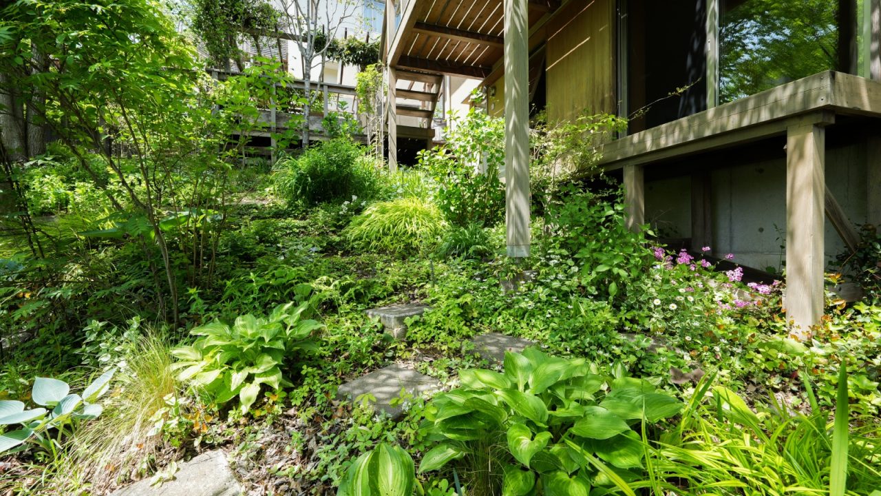 庭にはいろんな小道が。地面を覆うたくさんの下草は周辺の八国山などに自生しているものを積極的に取り入れているそう。