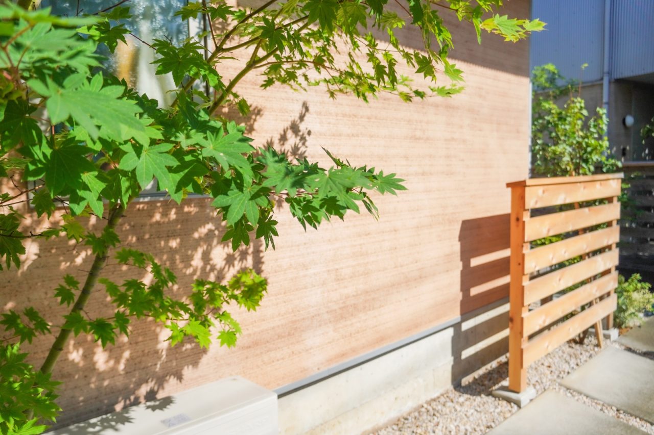 左官壁の楓の影が美しい。新しくつくった低い木塀が緩やかに外からの視線を遮ります。