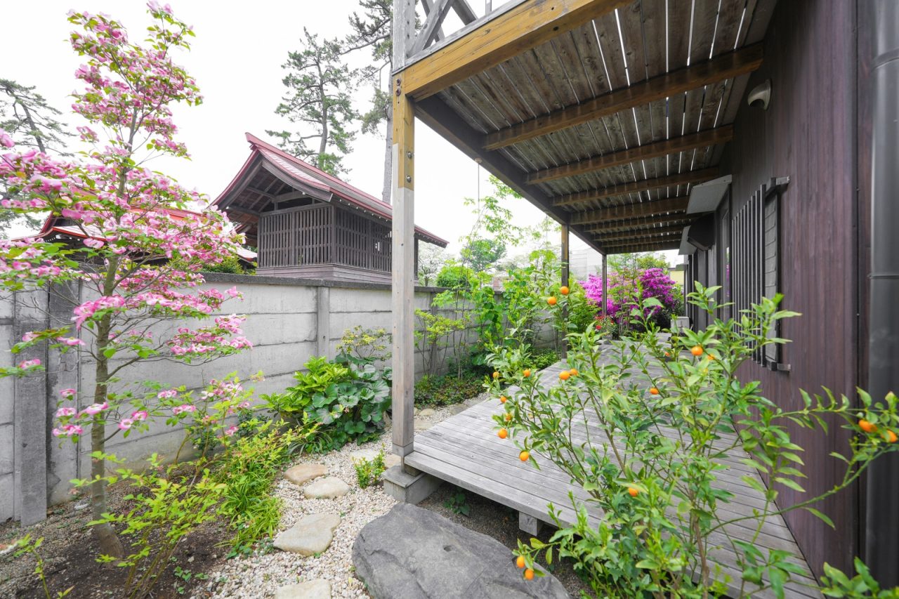 角のハナミズキが色鮮やか。