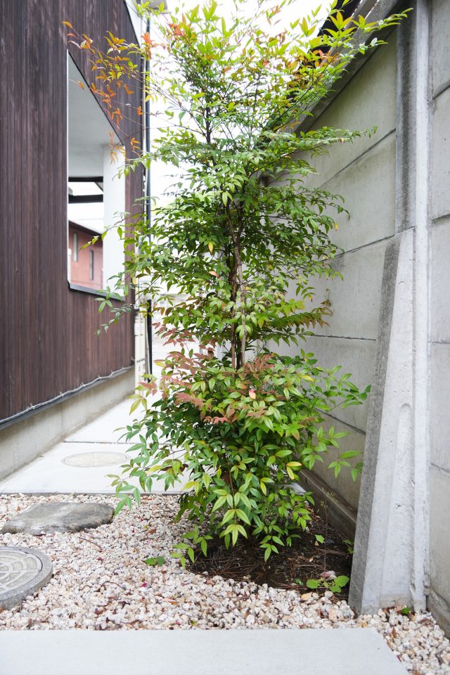 東側の（図面※マーク）の一角。