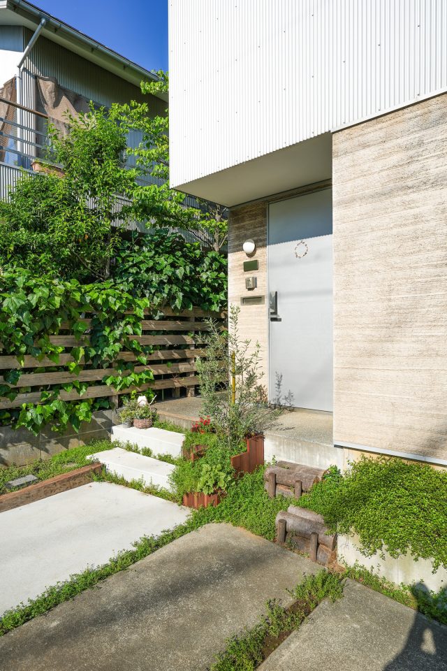 ウリンの板で囲んだ新・シンボルツリーのオリーブ。