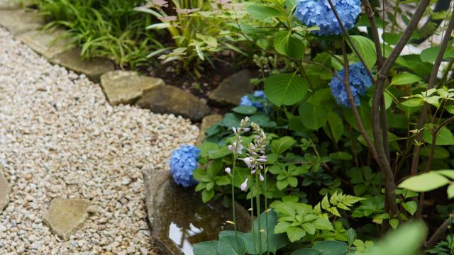 露地にも小さな水鉢が佇み、清い風に吹かれるような心持ちに。