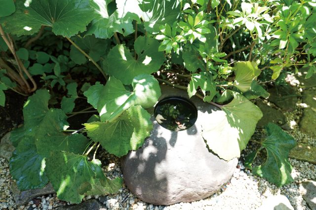 造園家の小林賢二さんデザインの庭は、娘さんと一緒に遊びながら季節の変化を楽しむことができます。