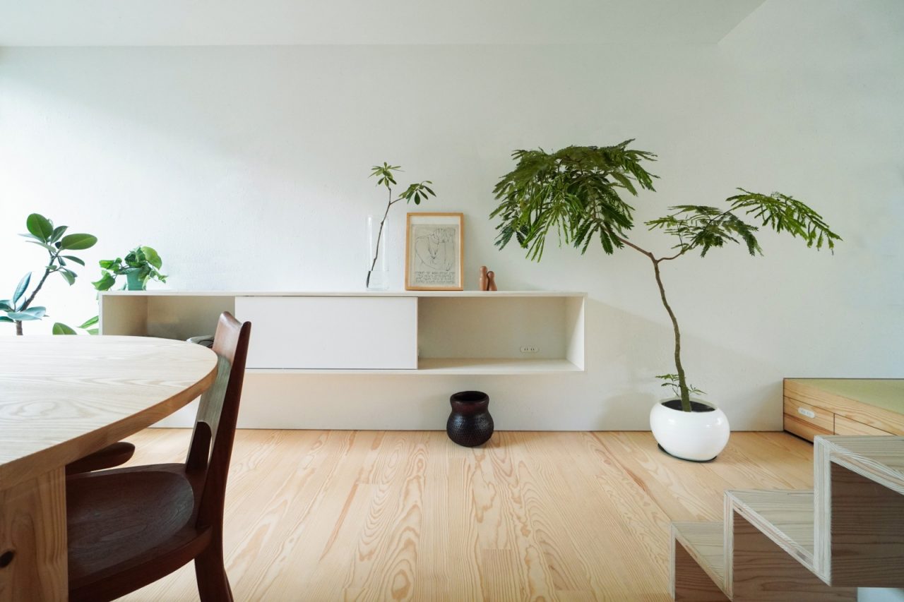 あいばのグリーン事業部と一緒に仕入れをしたインドアグリーンが空間を彩ります。