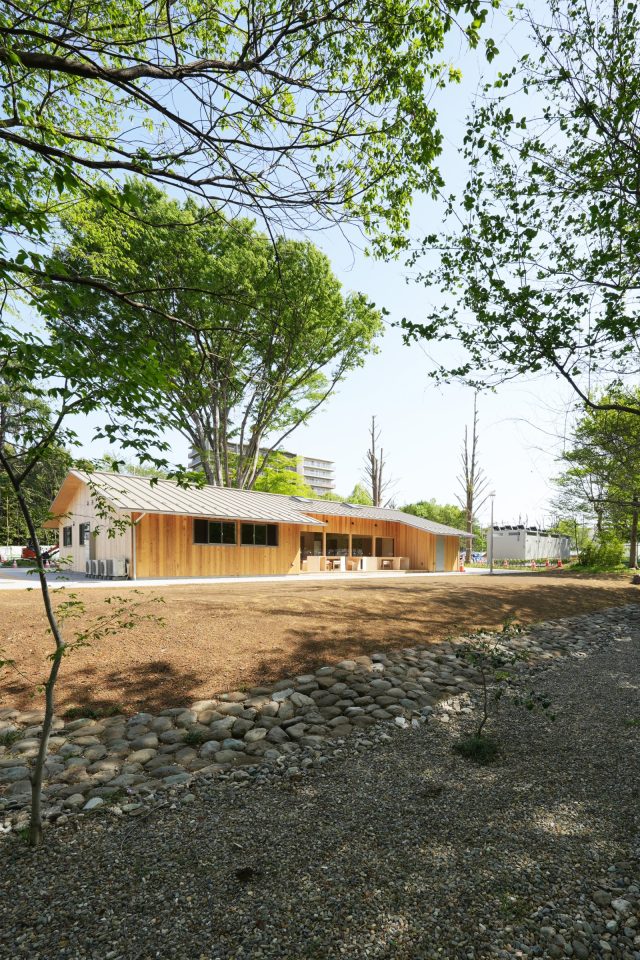 裏手のざわざわ森の石を職人さんが一つひとつ手積みしたレインガーデン