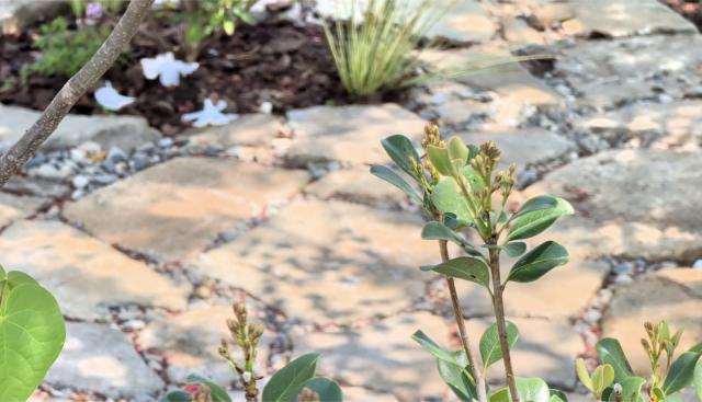 季節による草木の変化も楽しみの一つ